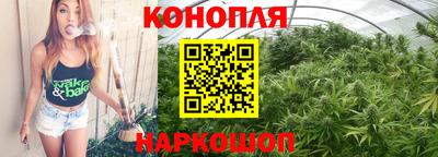 прущие крисы Обь