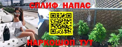 прущие грибы Нягань