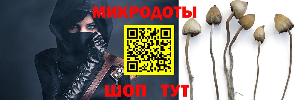 Сафоново  Псилоцибиновые грибы мицелий  Псилоцибиновые грибы GOLDEN TEACHER  Вход с VPN 
